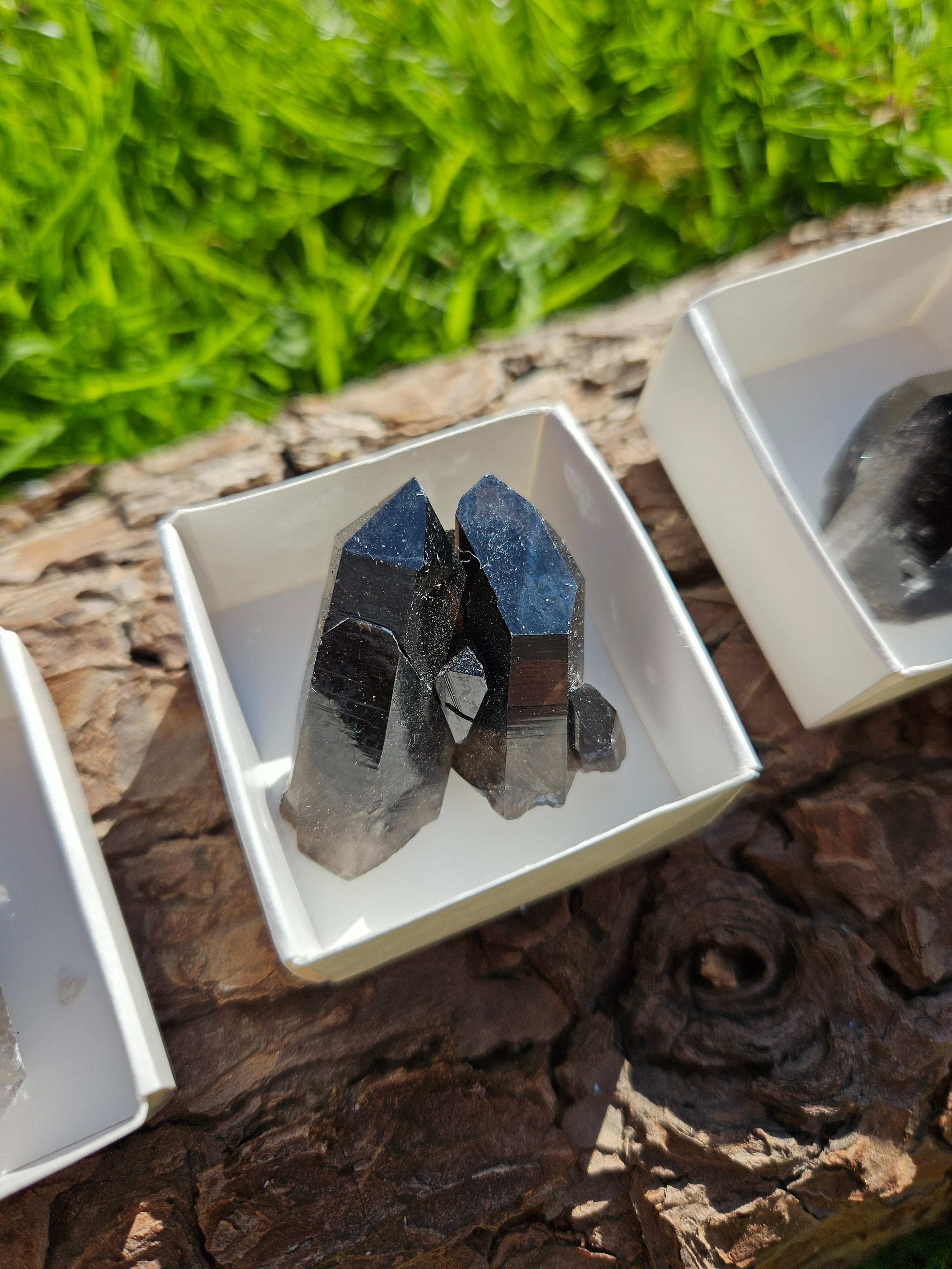 Smokey Quartz point in box