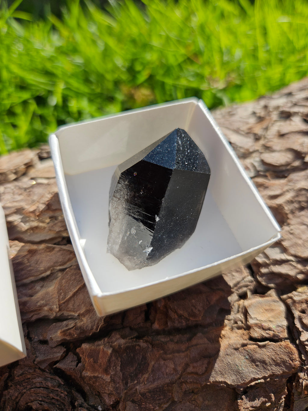 Smokey Quartz point in box