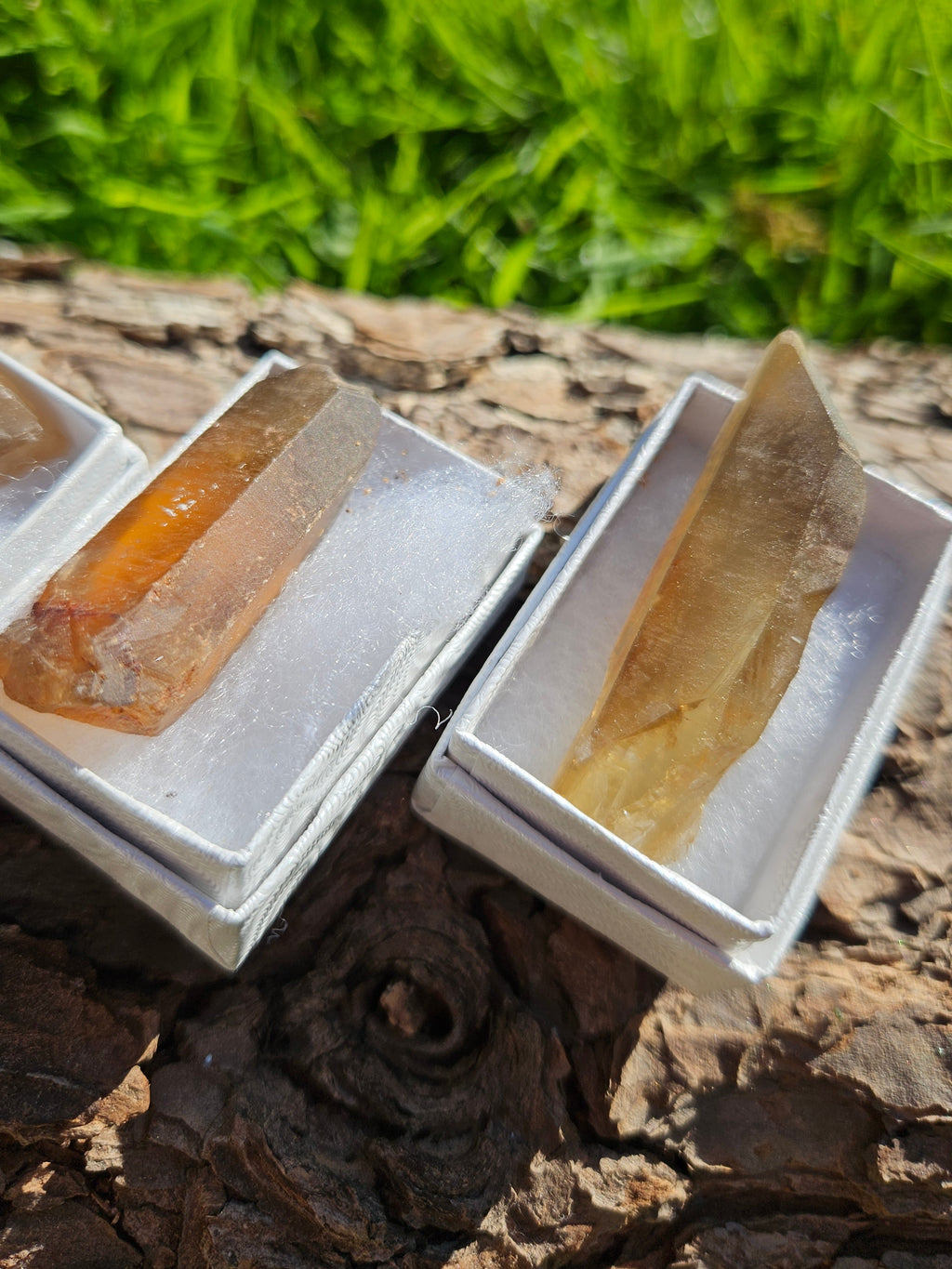 Two natural Citrine points
