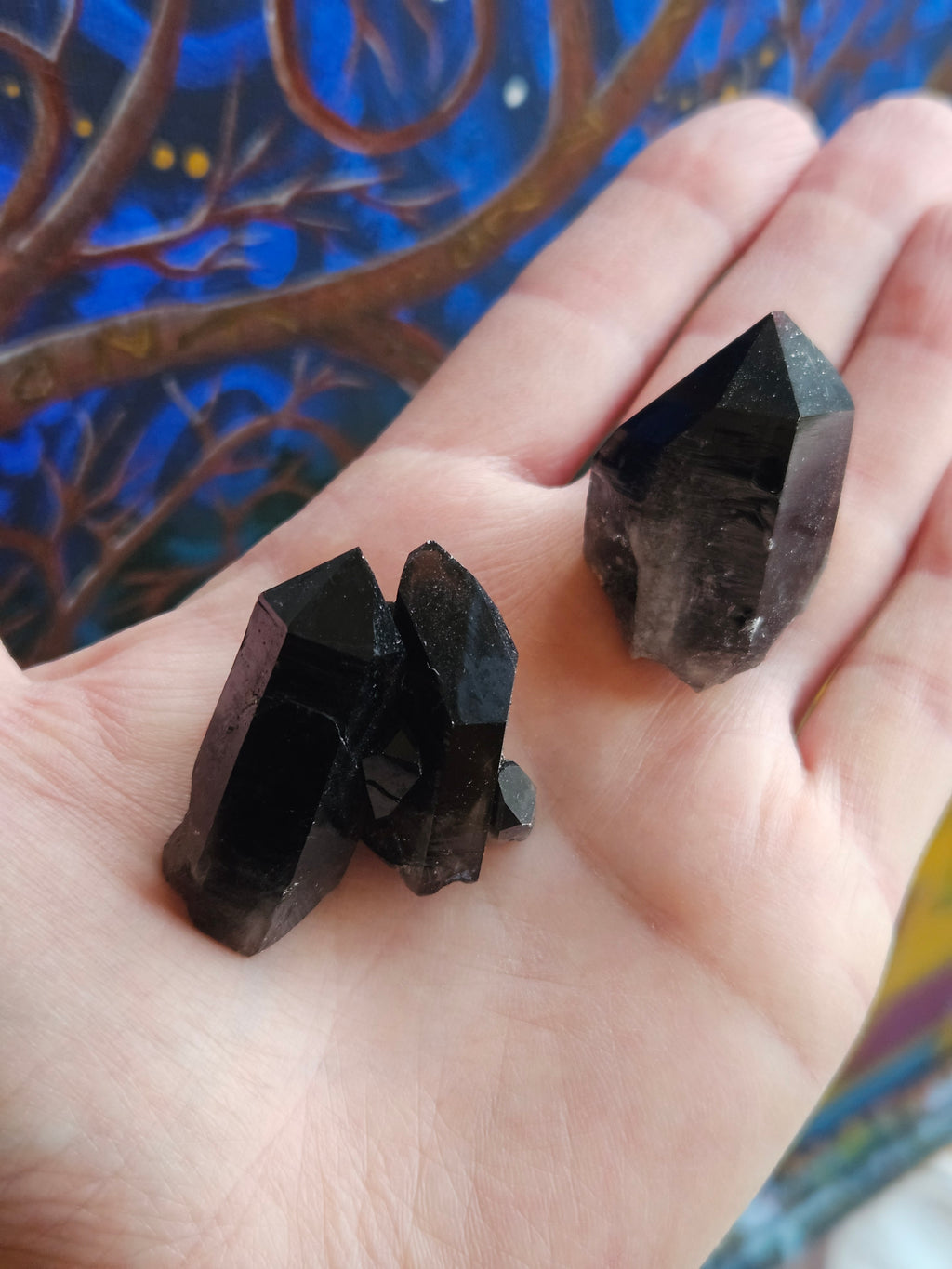 Hand holding two Smokey Quartz points to show size