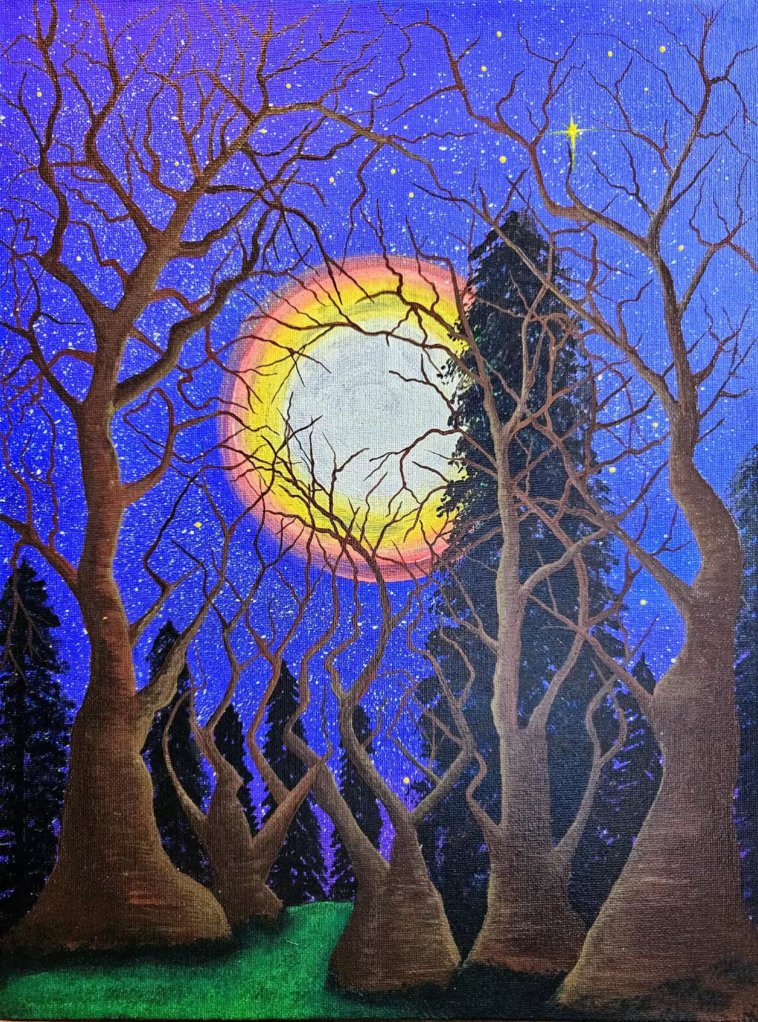Midnight Magic - artistic depiction of trees with a colorful moon and star in the night sky. 