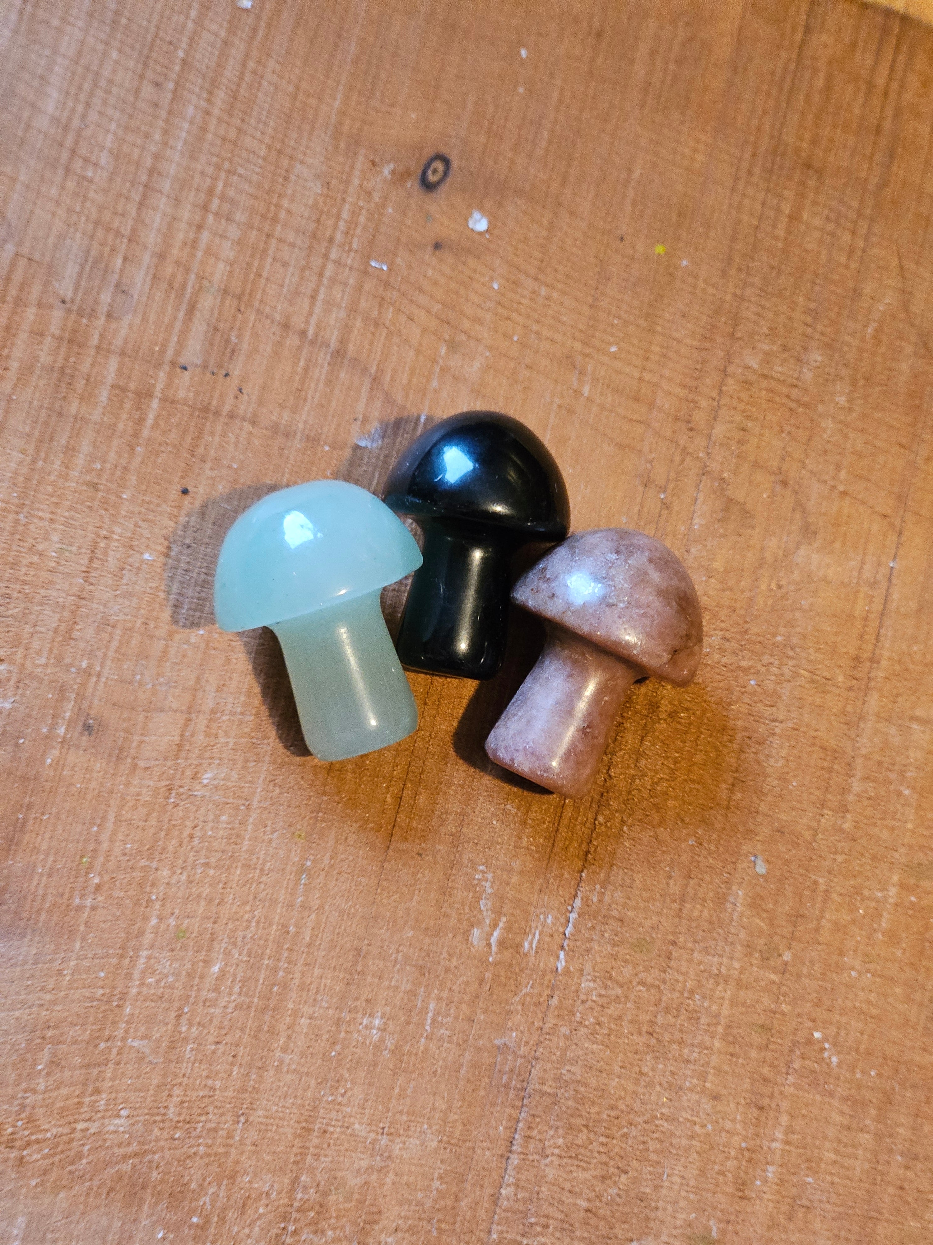 Mini Gemstone Mushrooms