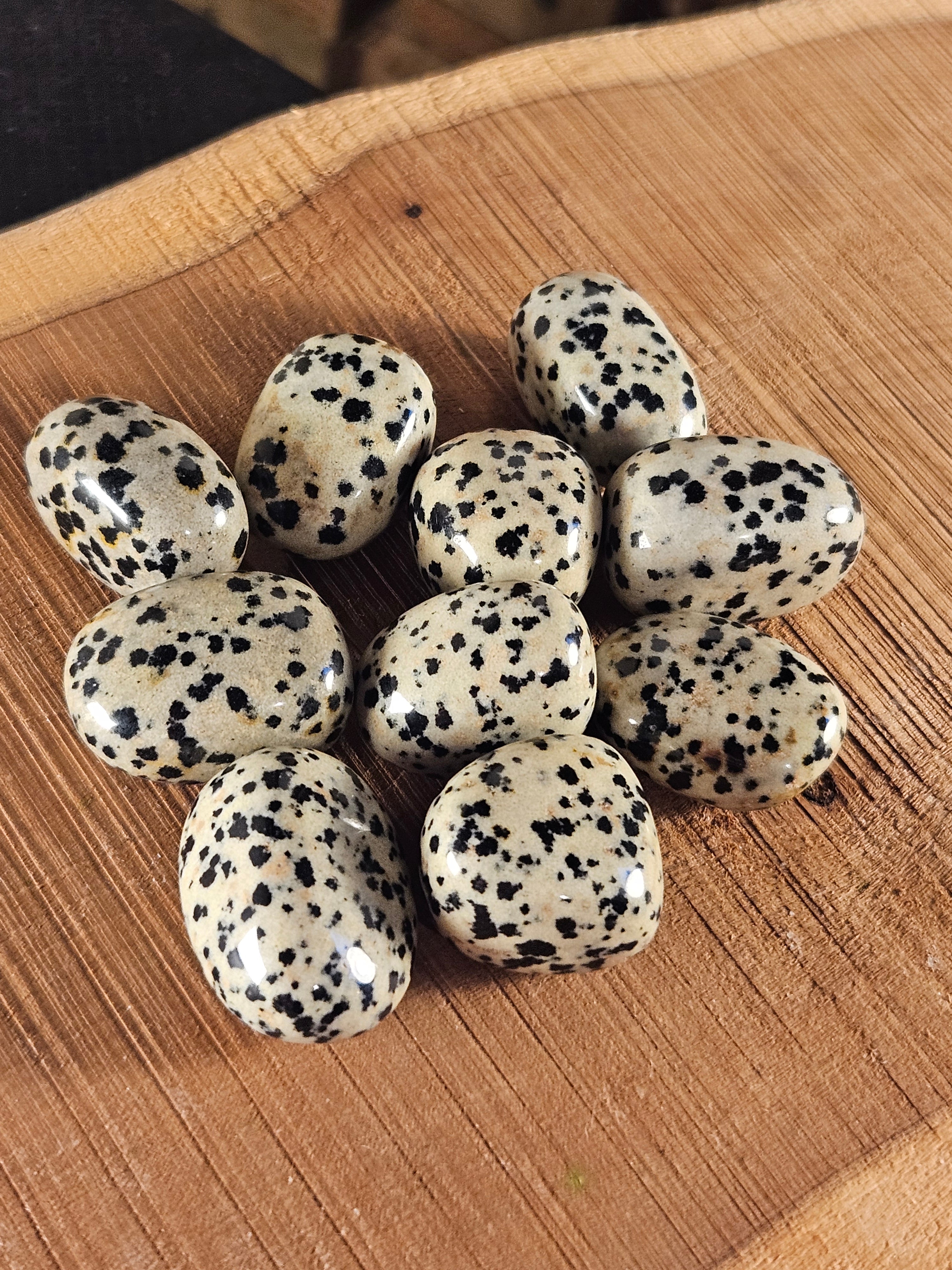 Dalmatian Jasper tumbe stones