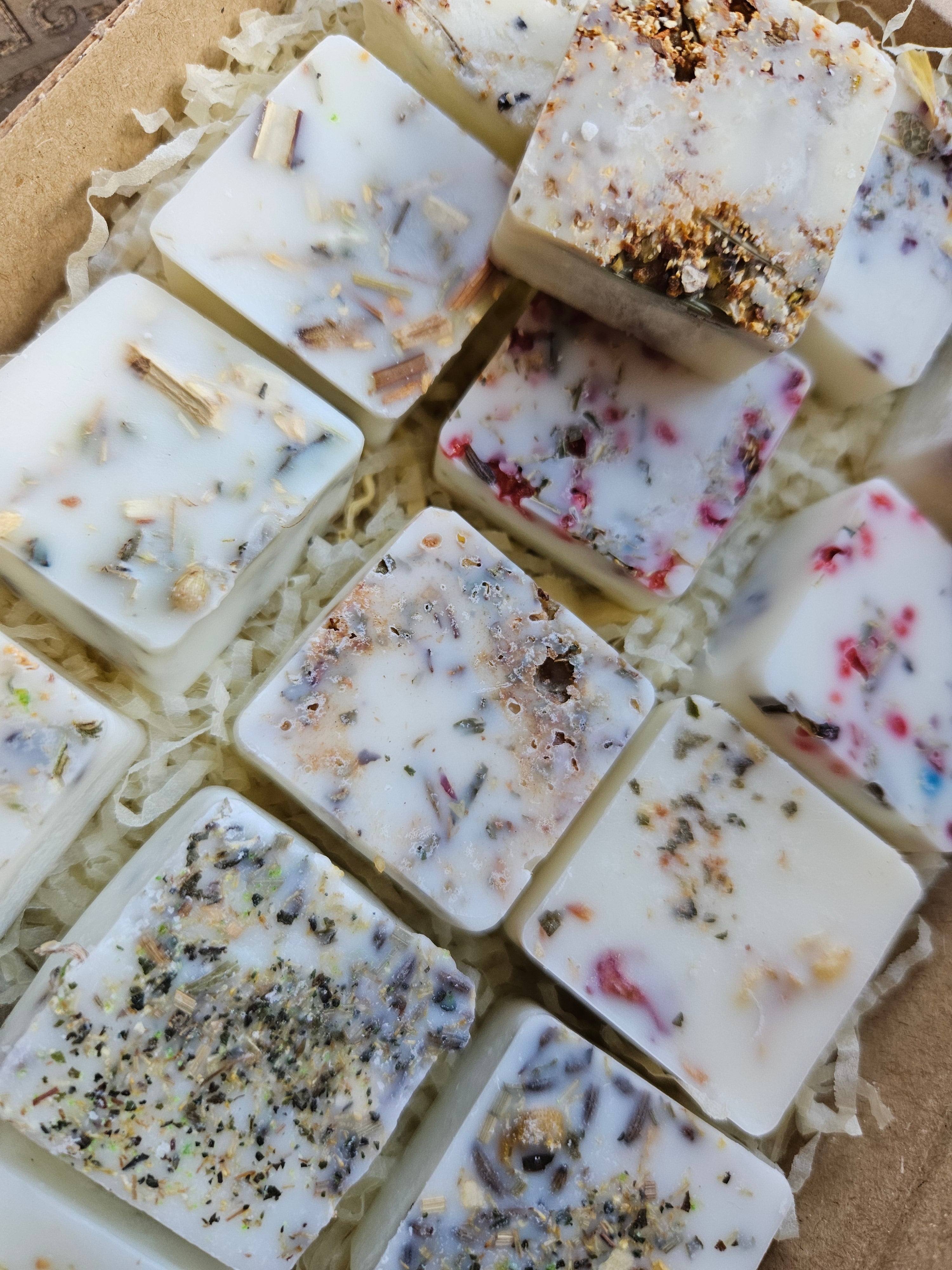Several square handmade wax melts in off-white and cream tones, embedded with dried botanicals, seeds, and herbs, arranged in shredded paper inside a cardboard box.