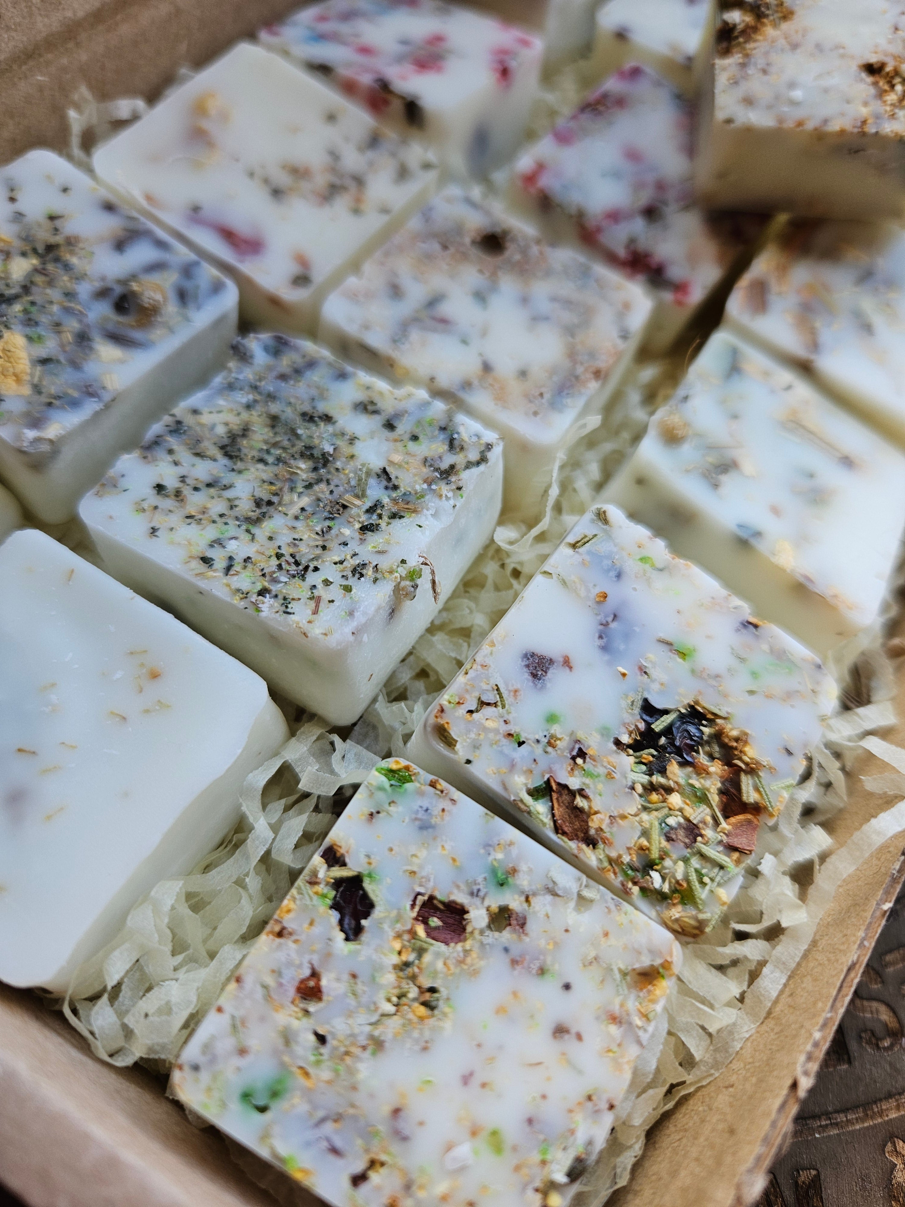 Several square handmade wax melts in off-white and cream tones, embedded with dried botanicals, seeds, and herbs, arranged in shredded paper inside a cardboard box.