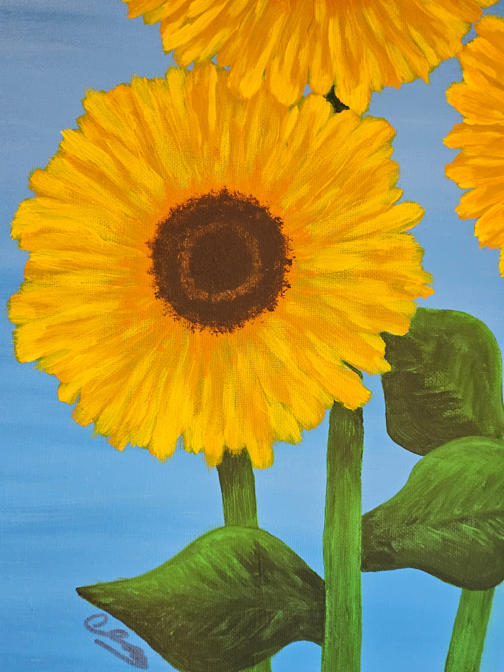Illustration of a sunflower with green leaves on a blue background