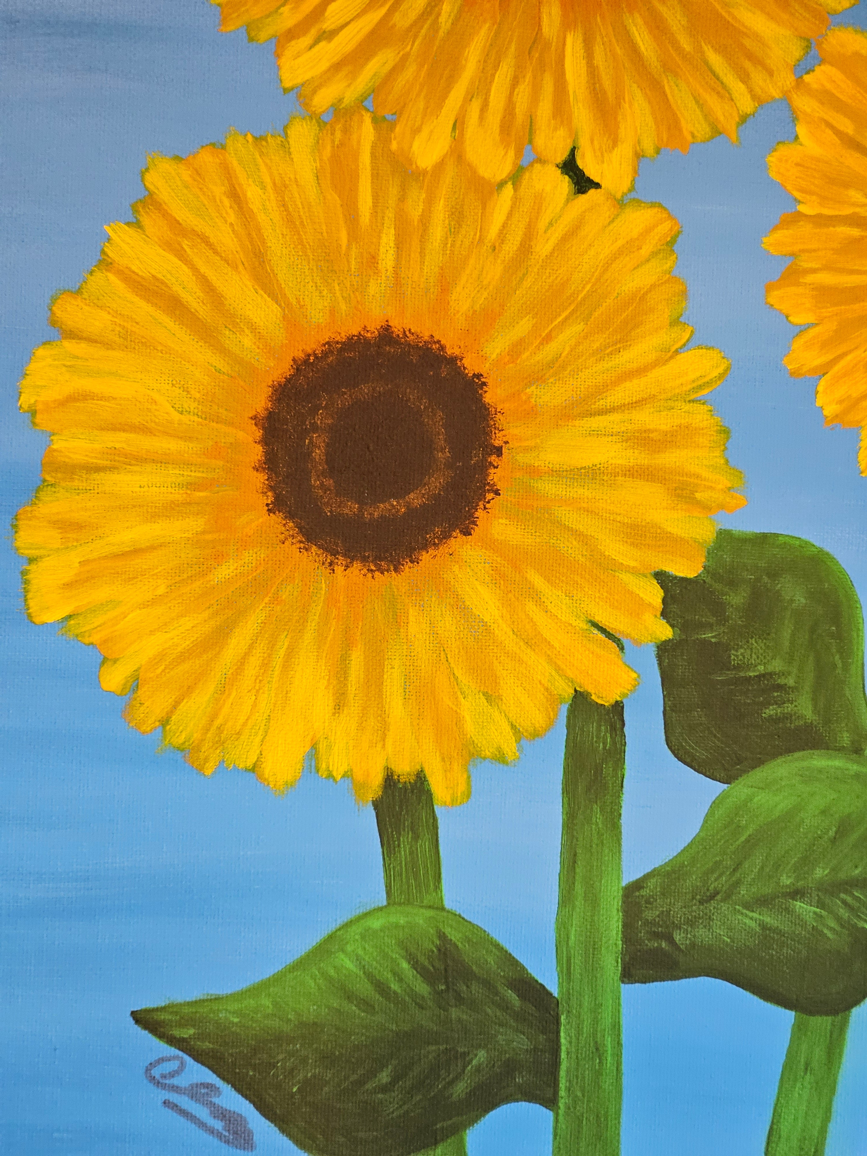 Illustration of a sunflower with green leaves on a blue background