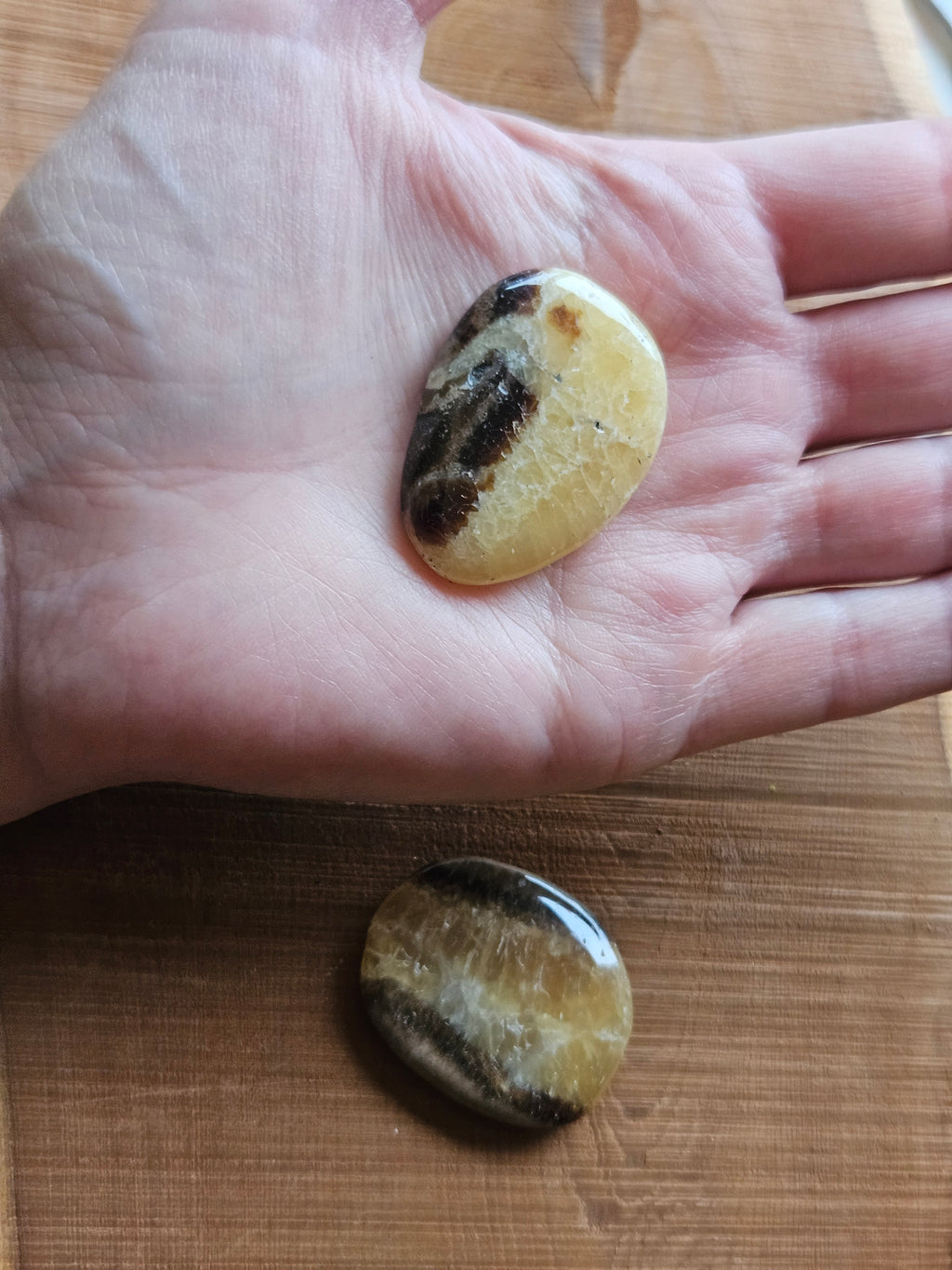 Two Septarian Dragon Stone smoothstones, one in a hand and one on a wooden surface, to show size